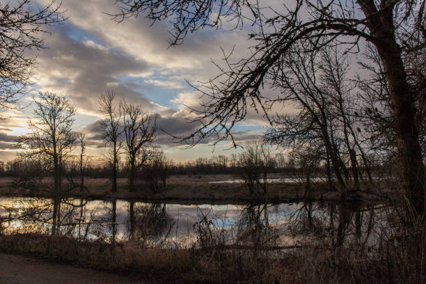 istock Ridgefield wildlife refuge nature area 1136238778
