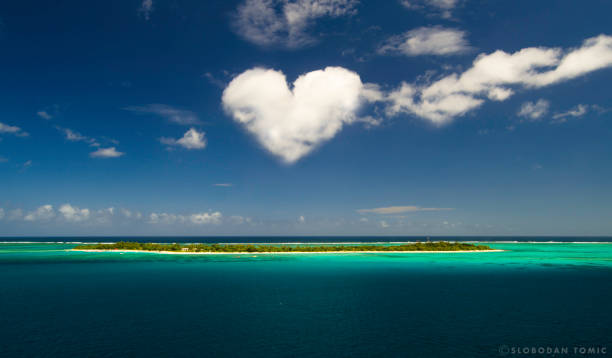 istock Shape of the heart 1136240156