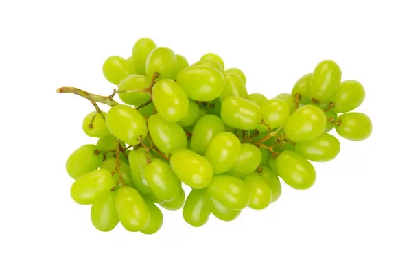 Photo of Green grape isolated on white. Full depth of field