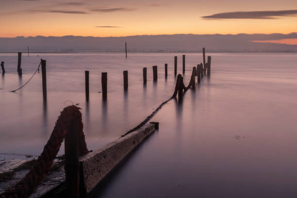 istock Aveiro Lagoon at High Tide 1136240498