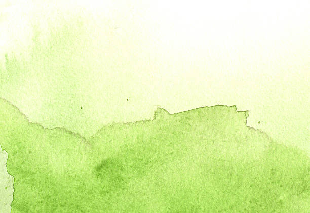istock Stock image of a green watercolor drawing 113624235
