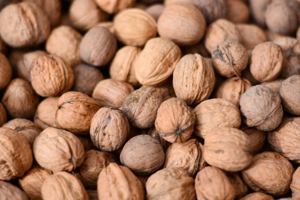 istock organic nuts harvested in the woods 1136247250