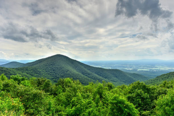 istock Shenandoah National Park - Virginia 1136255034