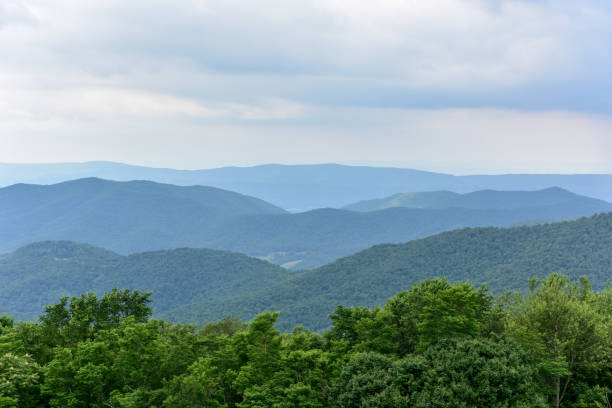 istock Shenandoah National Park - Virginia 1136258016