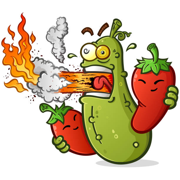 Spicy Pickle Cartoon with Hot Peppers Breathing Fire A pickle character that has eaten something so hot and spicy that his mouth is erupting hellish fire while holding two hot peppers salt character stock illustrations