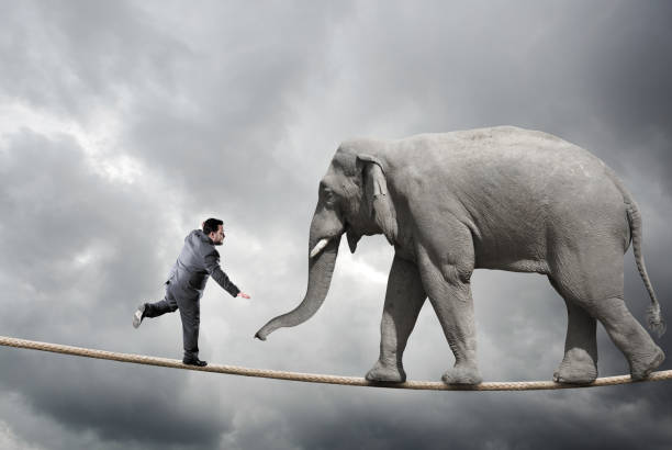 istock Business man and elephant on rope 1136262394