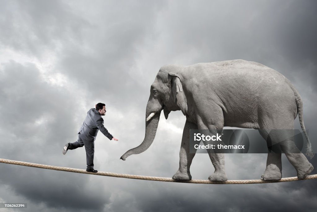 Business man and elephant on rope Seesaw Stock Photo