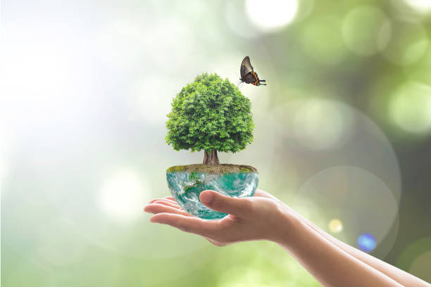 istock Saving environment and natural conservation concept with tree planing on green globe earth on volunteer's hands: Elements of this image furnished by NASA 1136269299