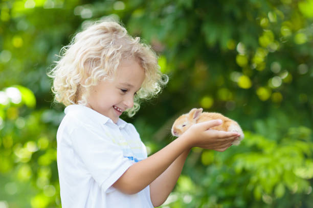istock Child with rabbit. Easter bunny. Kids and pets. 1136272024