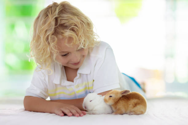 istock Child with rabbit. Easter bunny. Kids and pets. 1136272522