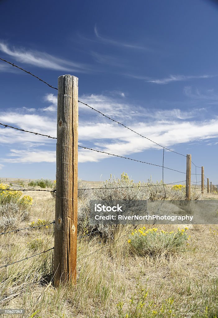 Resistente Wyoming - Foto de stock de Arame farpado - Arame royalty-free