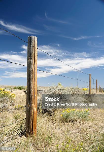 Foto de Resistente Wyoming e mais fotos de stock de Arame farpado - Arame - Arame farpado - Arame, Céu - Fenômeno natural, Azul