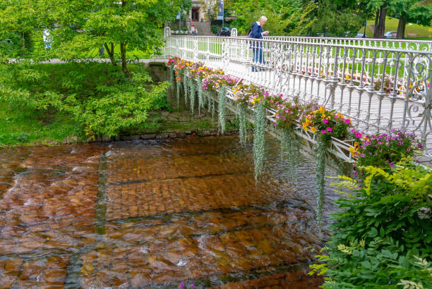 ponte nel bellissimo parco nel cuore di baden-baden, germania - baden baden green street fountain foto e immagini stock