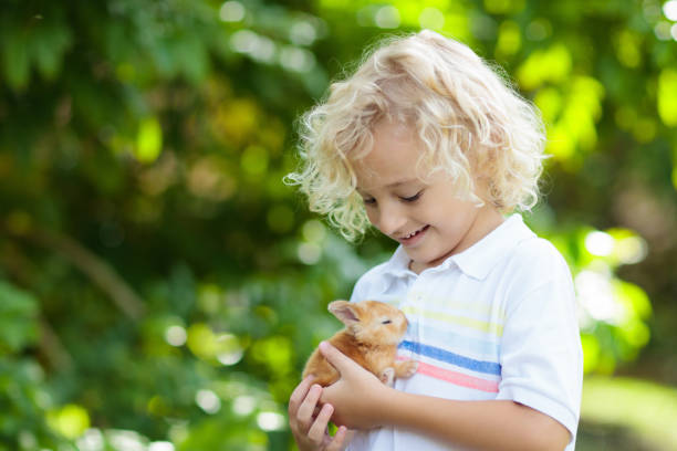 istock Child with rabbit. Easter bunny. Kids and pets. 1136274409