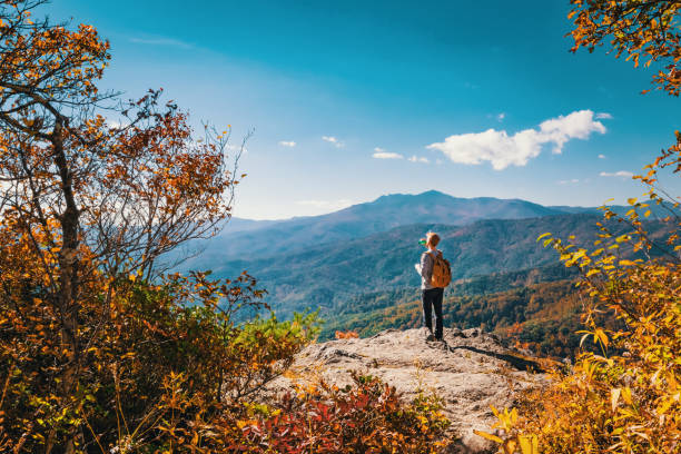 istock Man at the edge of a cliff 1136275139
