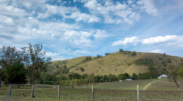 istock Australian countryside landscape 1136276735