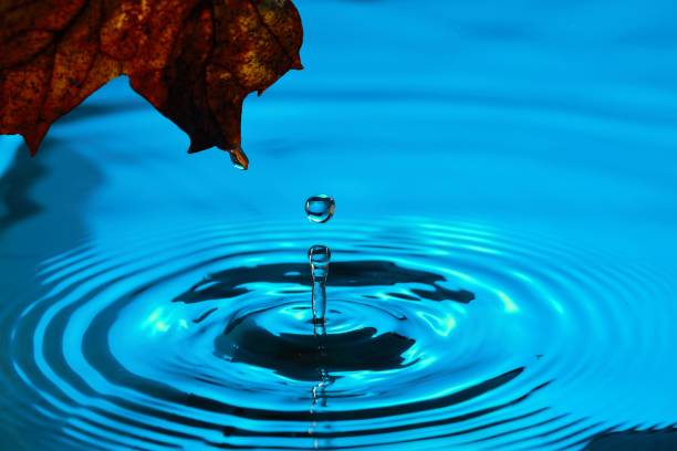 istock Amazing beautiful blue background. Drops making circles on water surface. 1136277783