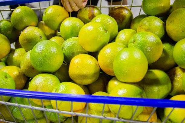 oranges inside a supermarket cart in rio de janeiro