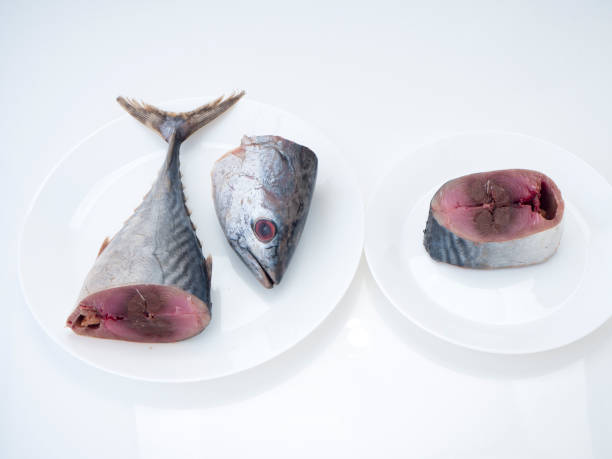 istock Closeup Raw sliced mackerel fish white plate 1136280051