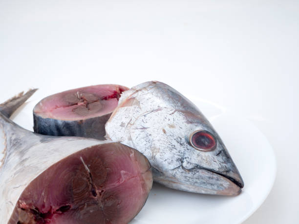 istock Closeup Raw sliced mackerel fish white plate 1136280154