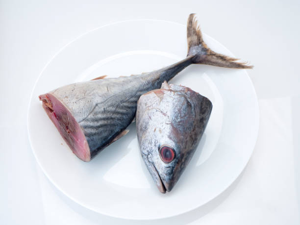 istock Closeup Raw sliced mackerel fish white plate 1136280160