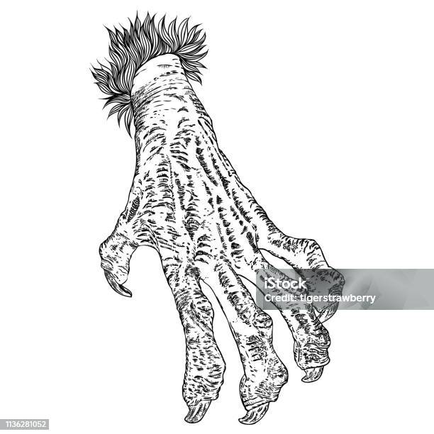 Engraving Monster Hand Zombie Werewolf Dragon Or Vampire Palm Hand With Long Nails In Attack Gesture Vector Stock Illustration - Download Image Now