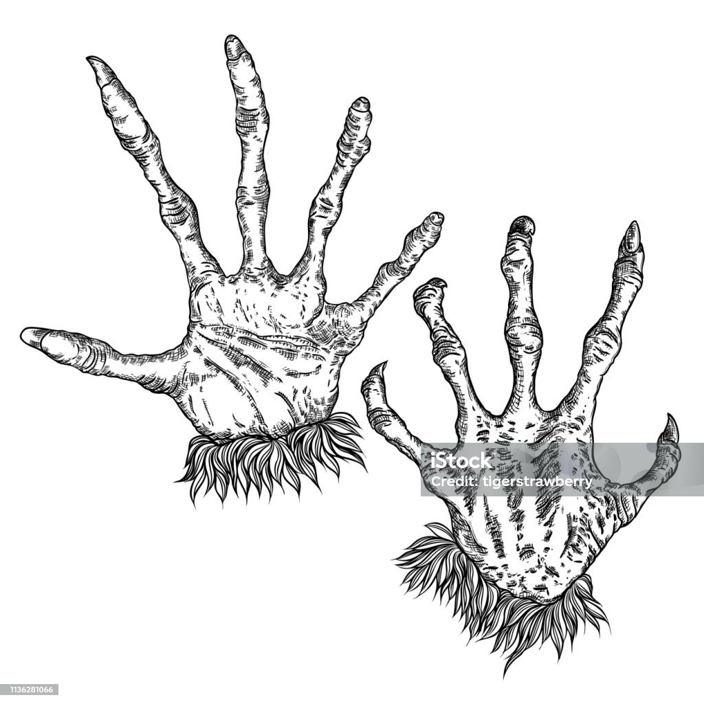 Engraving monster hand set, zombie, werewolf, dragon or vampire palm hands with long nails in attack gesture. Vector. Vector. Fear stock vector