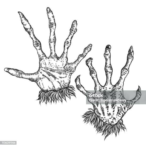 Engraving Monster Hand Set Zombie Werewolf Dragon Or Vampire Palm Hands With Long Nails In Attack Gesture Vector Stock Illustration - Download Image Now