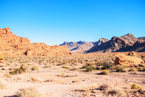 istock Red Desert Landscape in Valley of Fire State Park 1136282239