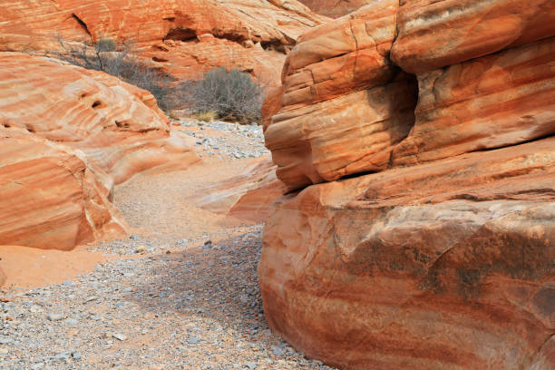 istock Walking slot canyon 1136283233