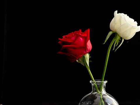 Red and white rose bouquet in Glass Vase on black background. minimal creative idea. copy space. love symbol
