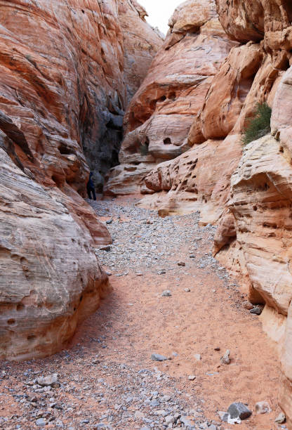 istock Climbing slot canyon - vertical 1136288464