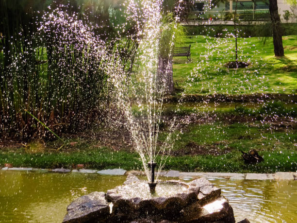 istock Fountain throwing water in public park 1136289162