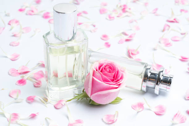 istock Beautiful perfume bottles  and rose on white background 1136296797