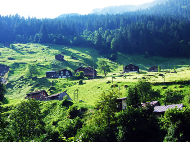 istock Alpine pastures and meadows in the Maderanertal alpine valley 1136297739