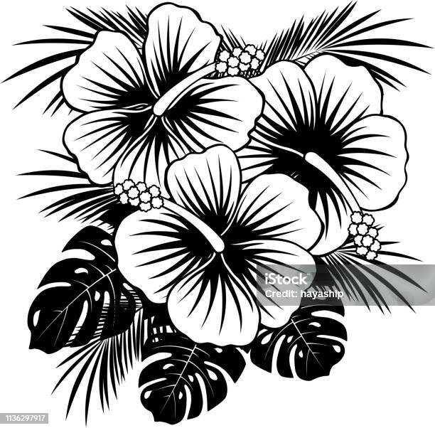 Ilustración de Flores Hawaianas Del Hibisco y más Vectores Libres de  Derechos de Clima tropical - Clima tropical, Color negro, Flor - iStock
