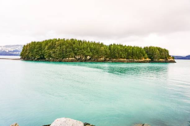 istock Cordova Alaska Harbor View 1136298585