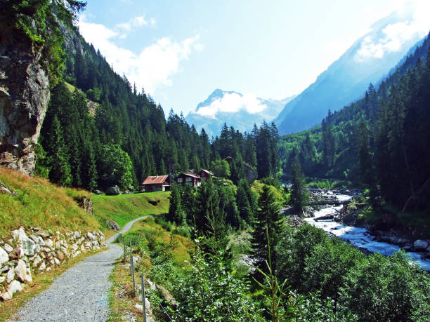 Trees and mixed forests in the Maderanertal alpine valley