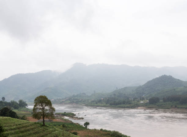 istock Landscape view of the large river. 1136304294