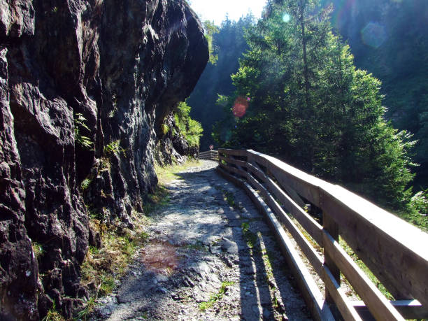 istock Stones and rocks in the Maderanertal alpine valley 1136305093