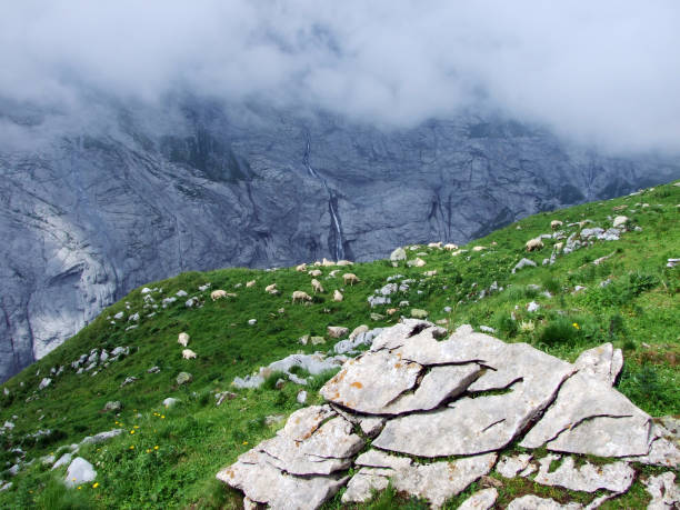istock Stones and rocks in the Maderanertal alpine valley 1136305123