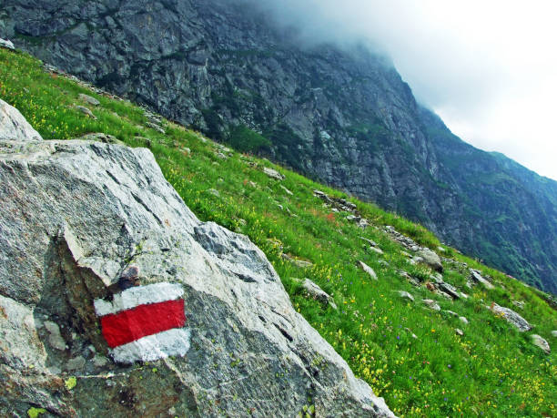 istock Stones and rocks in the Maderanertal alpine valley 1136305152