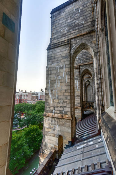 istock Saint John the Divine - New York City 1136309839