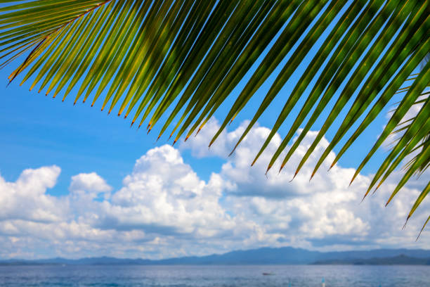 Coco palm leaf and turquoise blue sea water landscape. Green palm leaf frame on island view. Exotic place for vacation. Summer holiday escape destination. Sunny tropical paradise banner template