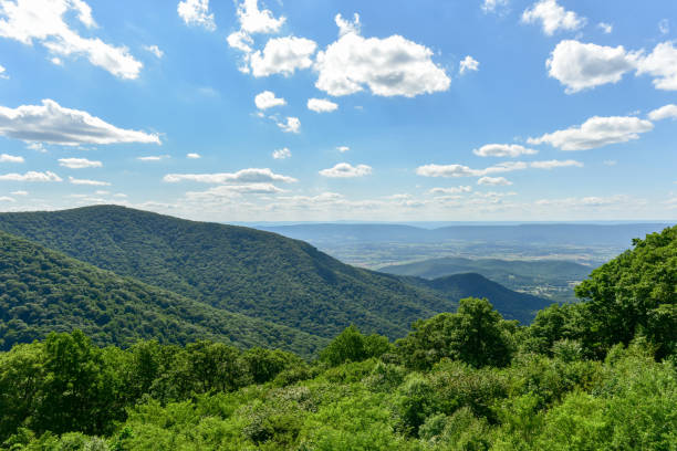 istock Shenandoah National Park - Virginia 1136310985