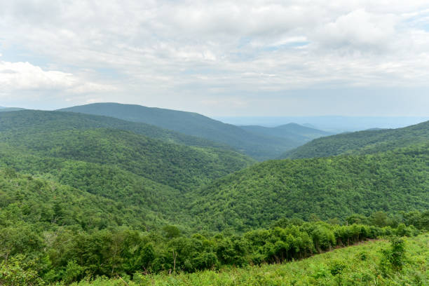 istock Shenandoah National Park - Virginia 1136311625