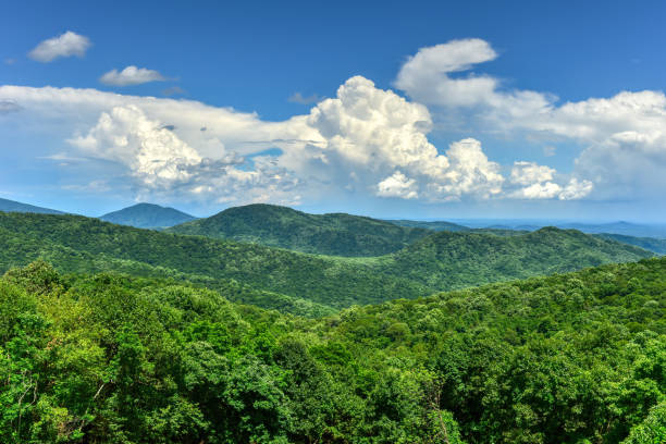 istock Shenandoah National Park - Virginia 1136311663