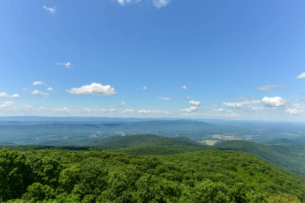 istock Shenandoah National Park - Virginia 1136311983