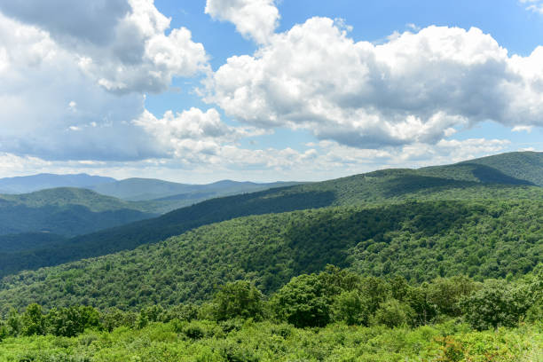 istock Shenandoah National Park - Virginia 1136312603