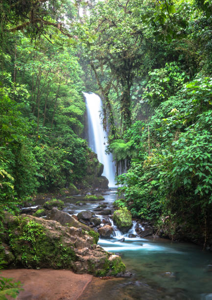 istock Waterfall Temple, Costa Rica 1136312709